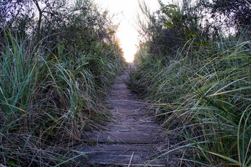 Sandy path