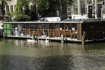 abrigo de animais em Amsterdam