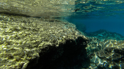 underwater exploration in a paradise island