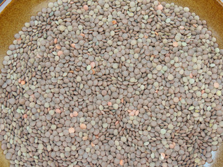 lentils pulse grain legume (Lens Culinaris) legumes vegetables food