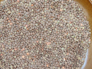 lentils pulse grain legume (Lens Culinaris) legumes vegetables food