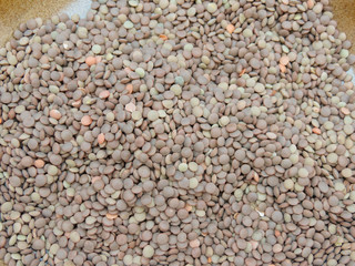 lentils pulse grain legume (Lens Culinaris) legumes vegetables food