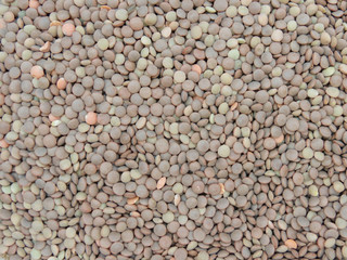lentils pulse grain legume (Lens Culinaris) legumes vegetables food