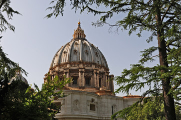 Roma, la Cupola di San Pietro dai Giardini Vaticani