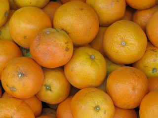 Oranges on display