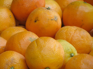 Oranges on display