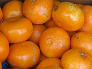 Oranges on display
