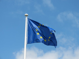 flag of the European Union (EU)