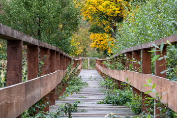 Wanderweg über Holzsteg im Harz