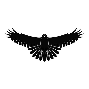 Flying Falcon. Elegant logo template. Silhouette of a wild bird with spread wings isolated on white. Retro style. Black graphic emblem. Vector illustration