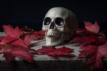 Skull on a stone base with blood red leaves