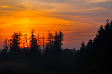 Dämmerung aufgehende Sonne erste Lichtstrahlen