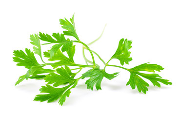 Parsley isolated on white background