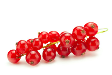 Red currant berry isolated on white background