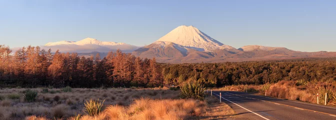 Foto auf Acrylglas Straße im Tongariro National Park und Vulkan Ngauruhoe, Neuseeland © NMint