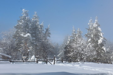 winter mountain landscape