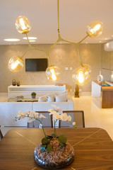 interior of living room