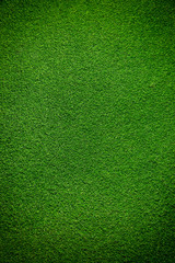 Artificial grass background - 224933359
