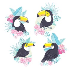 An illustration of a nice toucan in vector format. A cute toucan bird image for kid's education and fun in nursery and schools, and decoration purposes. Jungle animals collection