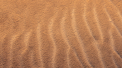 sand dune / bright summer evening before sunset photo