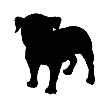 Pug purebred dog sitting in side view with shadow - vector silhouette isolated