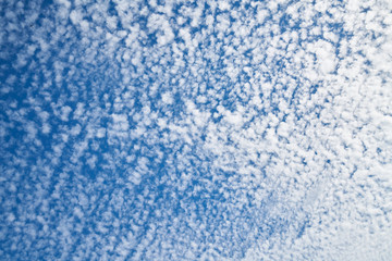 Fototapeta na wymiar Clouds Background and Texture