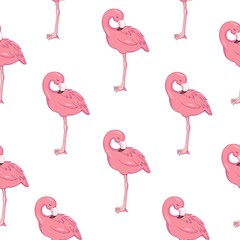 Tropical flamingo pattern