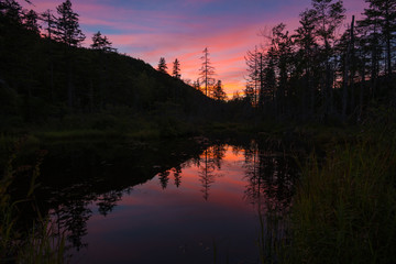 Listening to the Silence