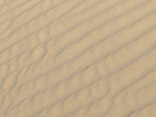 texture of sand waves on the beach or in the desert. the ripples of the sand is diagonal.