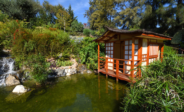 Japanese Garden with Pagoda and Pond