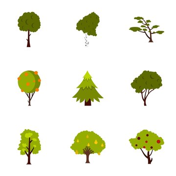 Kind of trees icons set. Flat illustration of 9 kind of trees vector icons for web