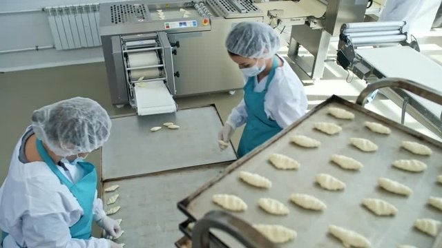 High angle view of two food production line workers taking croissants from conveyor belt and putting them on tray before baking