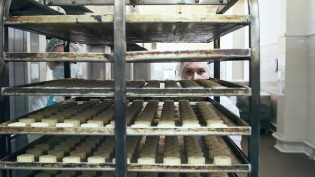 Medium shot of two female factory workers pushing baking tray with delicious cookies along confectionery hallway