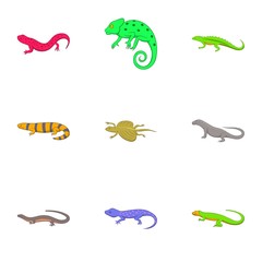 Iguana and lizard icons set. Cartoon illustration of 9 iguana and lizard vector icons for web