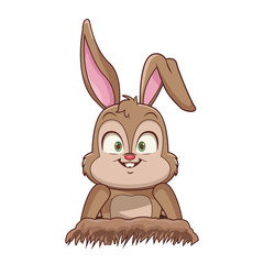 Rabbit cute cartoon