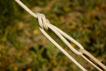 sea knots rope