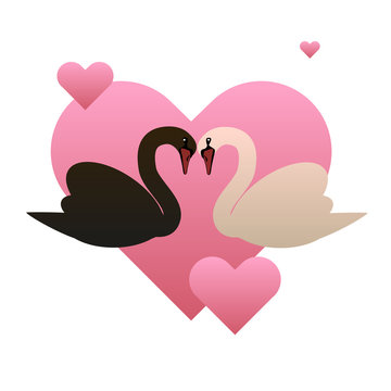 Black and white swans and hearts vector illustration