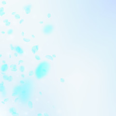 Turquoise flower petals falling down. Noteworthy romantic flowers gradient. Flying petal on blue sky