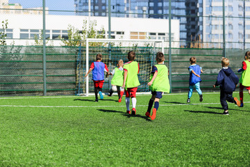 football team - boys in red and blue, green uniform play soccer on the green field. Team game, training, active lifestyle, hobby, sport for kids concept