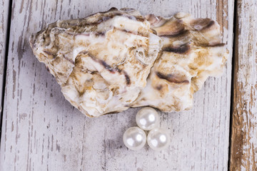 Auster mit Perlen auf rustikalem weißen Holz als Hintergrund für Luxus und Weihnachten