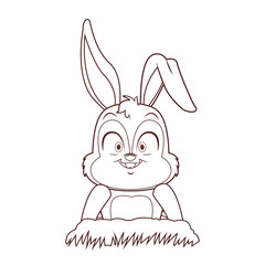 Rabbit on ground cartoon