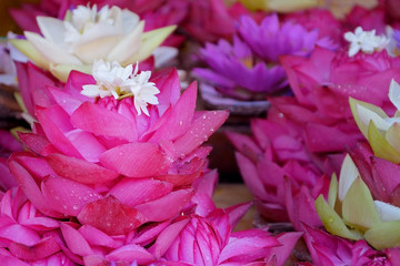 Ekibana from petals of pink lotus. flower composition