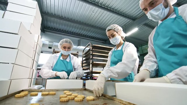 Tilt down shot of three factory workers in protective clothing putting tasty freshly baked cookies into boxes and packing them
