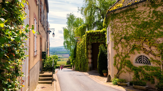 Fototapeta Narrow street with amazing view on vineyards of Champagne, France