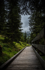 Fototapeta premium path Austrian mountains