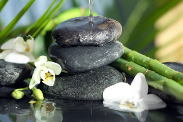 Fototapeta na wymiar Spa stones, flowers and bamboo branches in water
