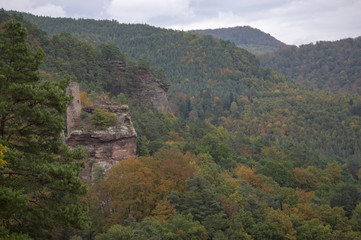 Fototapeta na wymiar Château en ruine dans une forêt d'automne