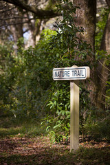 A nature trail in the rain forest. A sign with an entry to the forest.