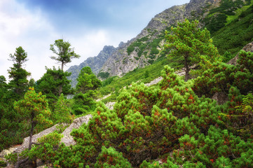 Mountain High Tatras National Park