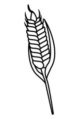 Wheat isolated cartoon
